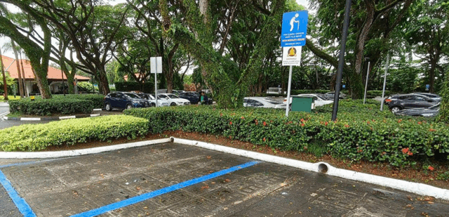 Elderly Details Banner